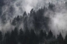 image of foggy