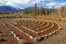 image of maze