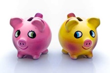 image of piggy_bank