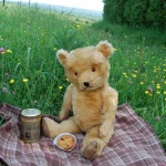 image of teddy_bear