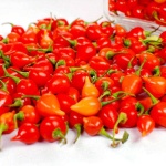 image of fruit_and_vegetable