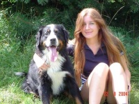 image of bernese_mountain_dog