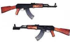 image of gun