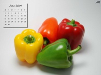 image of capsicum #28