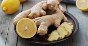 image of ginger #26