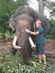 image of tusker