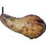 image of fruit