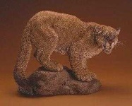image of cougar_body