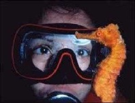 image of sea_horse