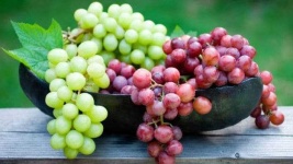 image of grapes #13