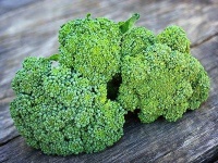 image of broccoli #16