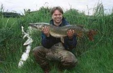 image of tench