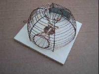 image of mousetrap