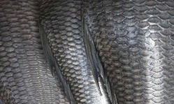 image of texture
