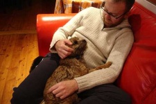 image of border_terrier #33