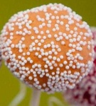 image of texture