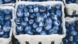 image of blueberry