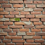 image of burnt_brick