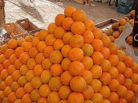 image of orange