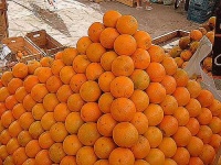 image of orange #23