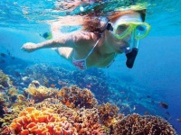 image of snorkel
