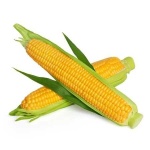 image of sweetcorn #1