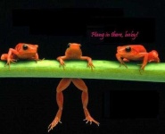 image of tailed_frog