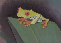image of tree_frog