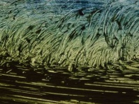 image of texture