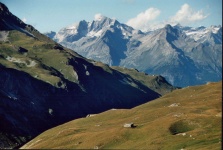 image of alp