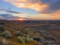 image of grassland