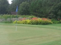 image of golf_club