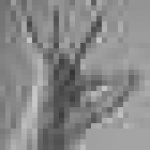 image of sign_language