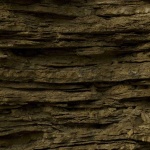 image of texture