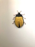 image of beetle #3