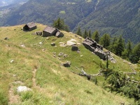 image of alp