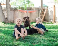 image of people_play_with_dog