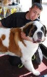 image of animal