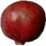 image of fruit #7