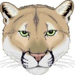 image of cougar_face