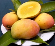 image of mango #34