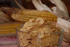 image of corn