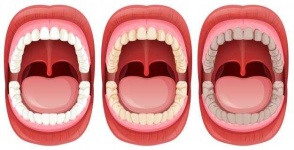 image of human_body_parts