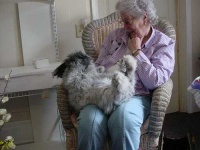 image of angora