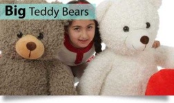 image of teddy_bear