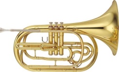 image of cornet
