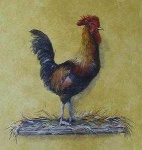 image of rooster
