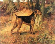 image of airedale #0