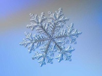 image of snowflake