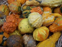 image of texture